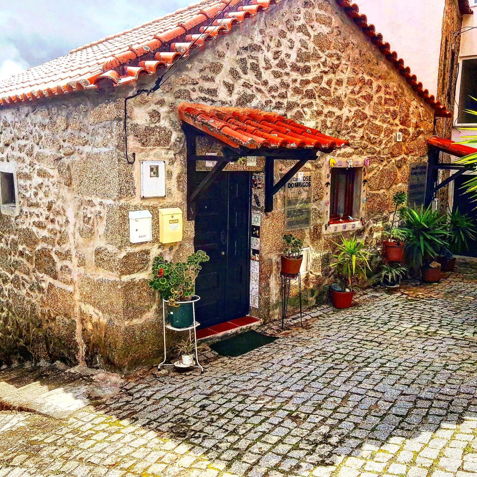 Jose Domingos Belmonte (Castelo Branco) Exterior foto