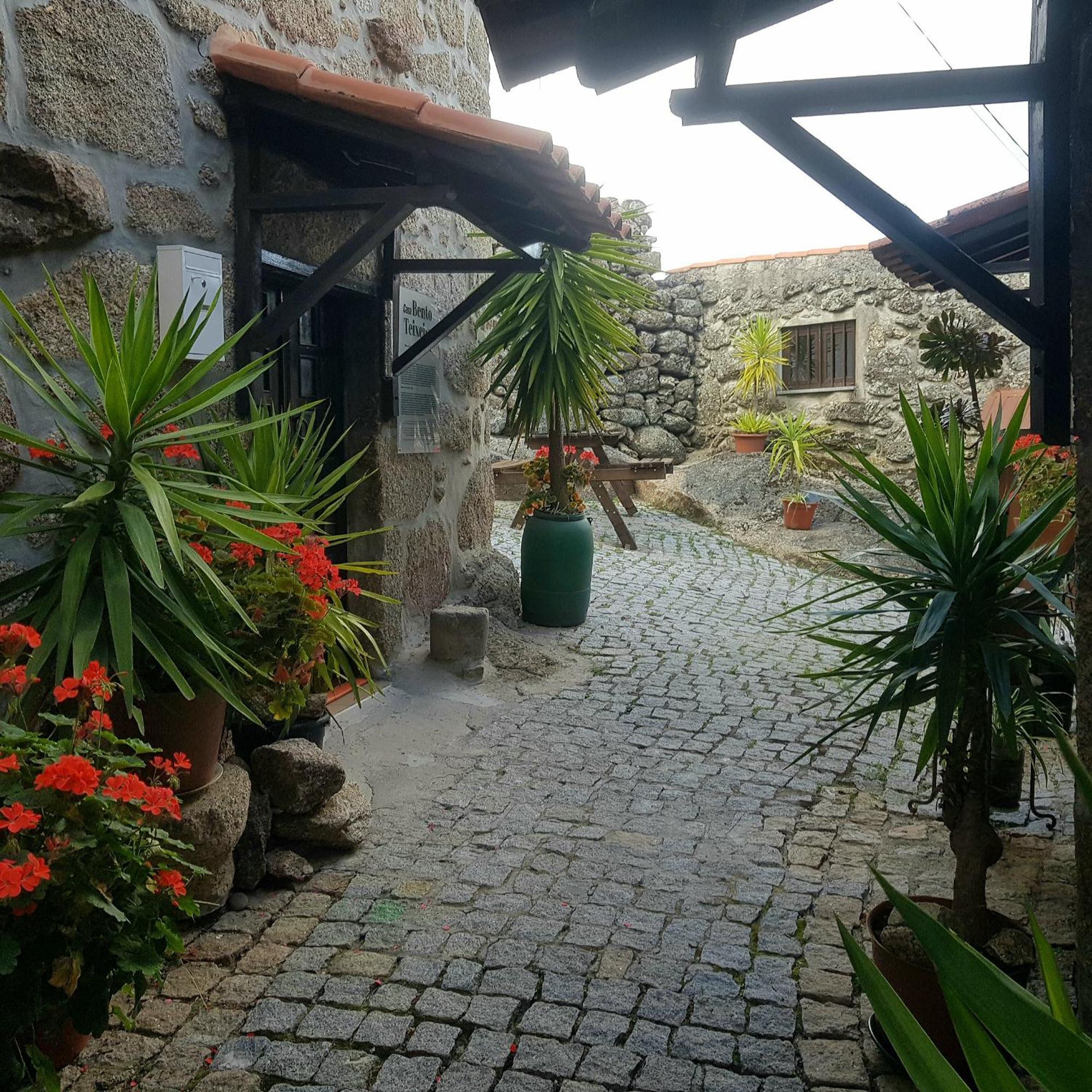 Jose Domingos Belmonte (Castelo Branco) Exterior foto