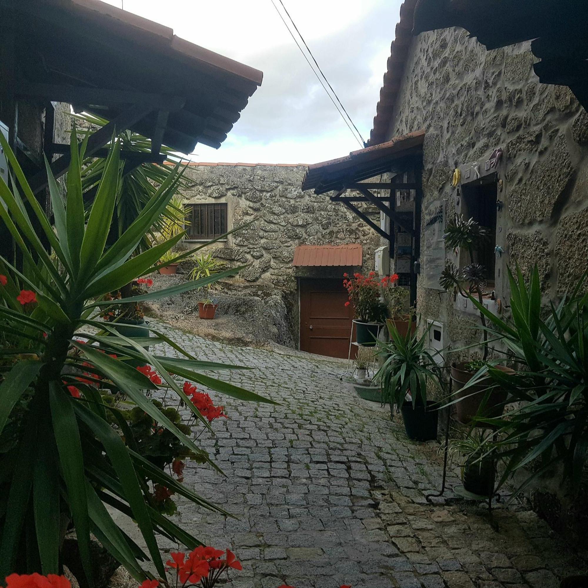 Jose Domingos Belmonte (Castelo Branco) Exterior foto