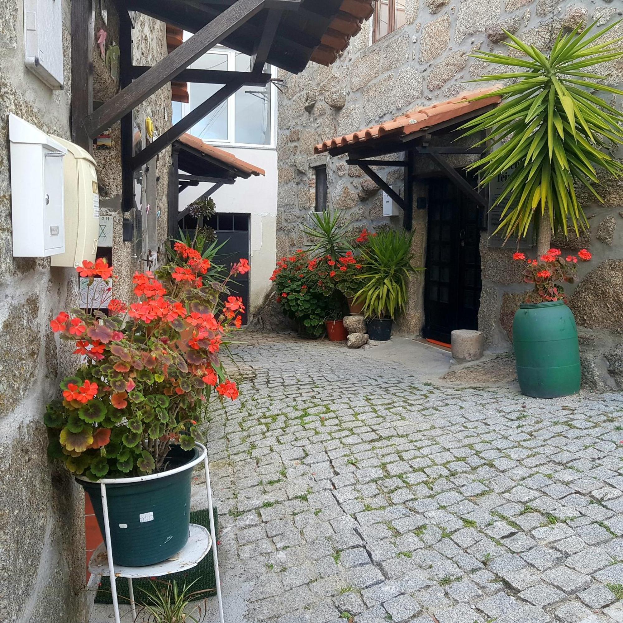 Jose Domingos Belmonte (Castelo Branco) Exterior foto